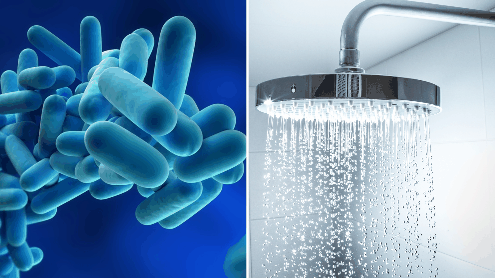 legionella remedial works