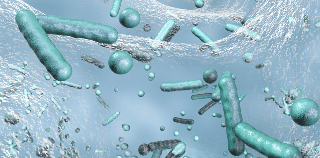 Legionella Regulations and Duty Holder Responsibilities